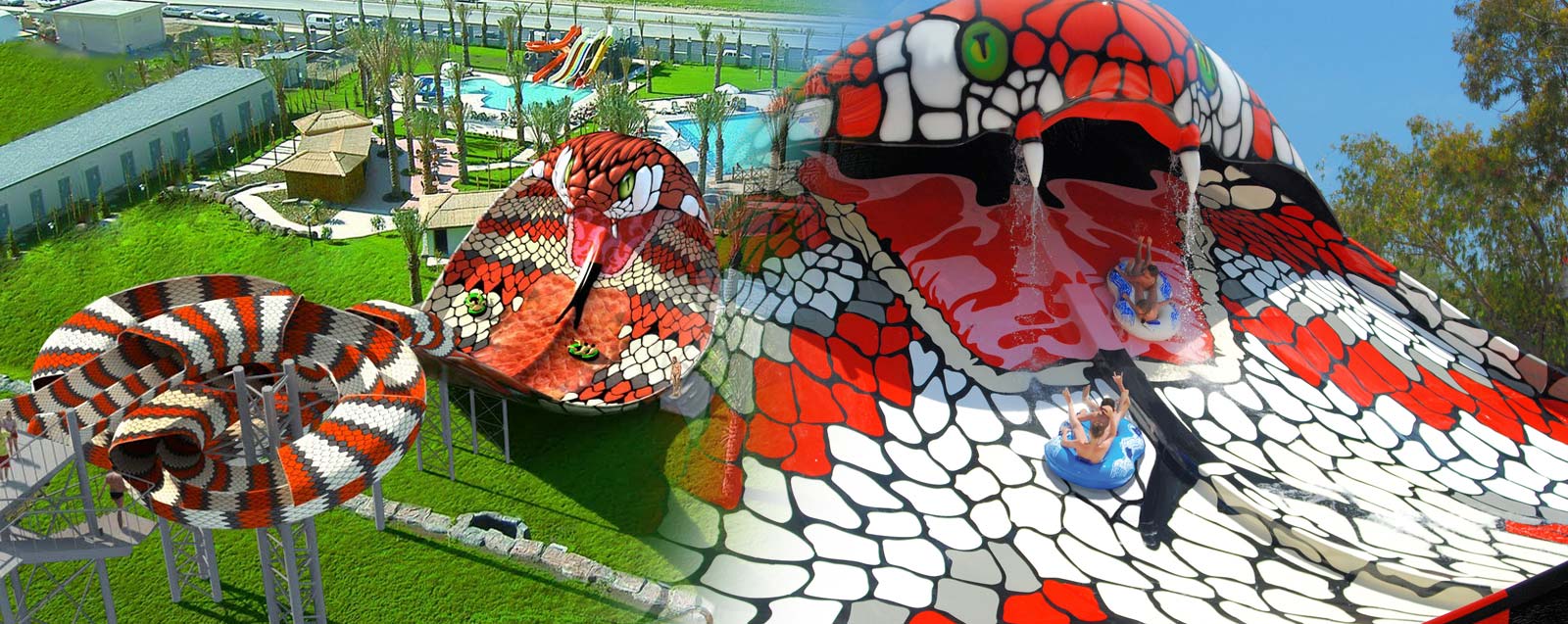 ASF f.u.n. ASF f.u.n.